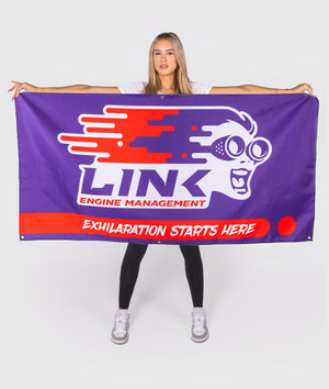 LinkECU Garage Flag